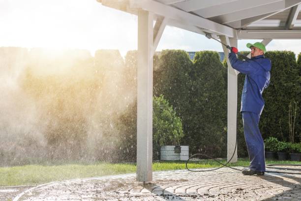 Best Paint Preparation  in Sebastian, TX